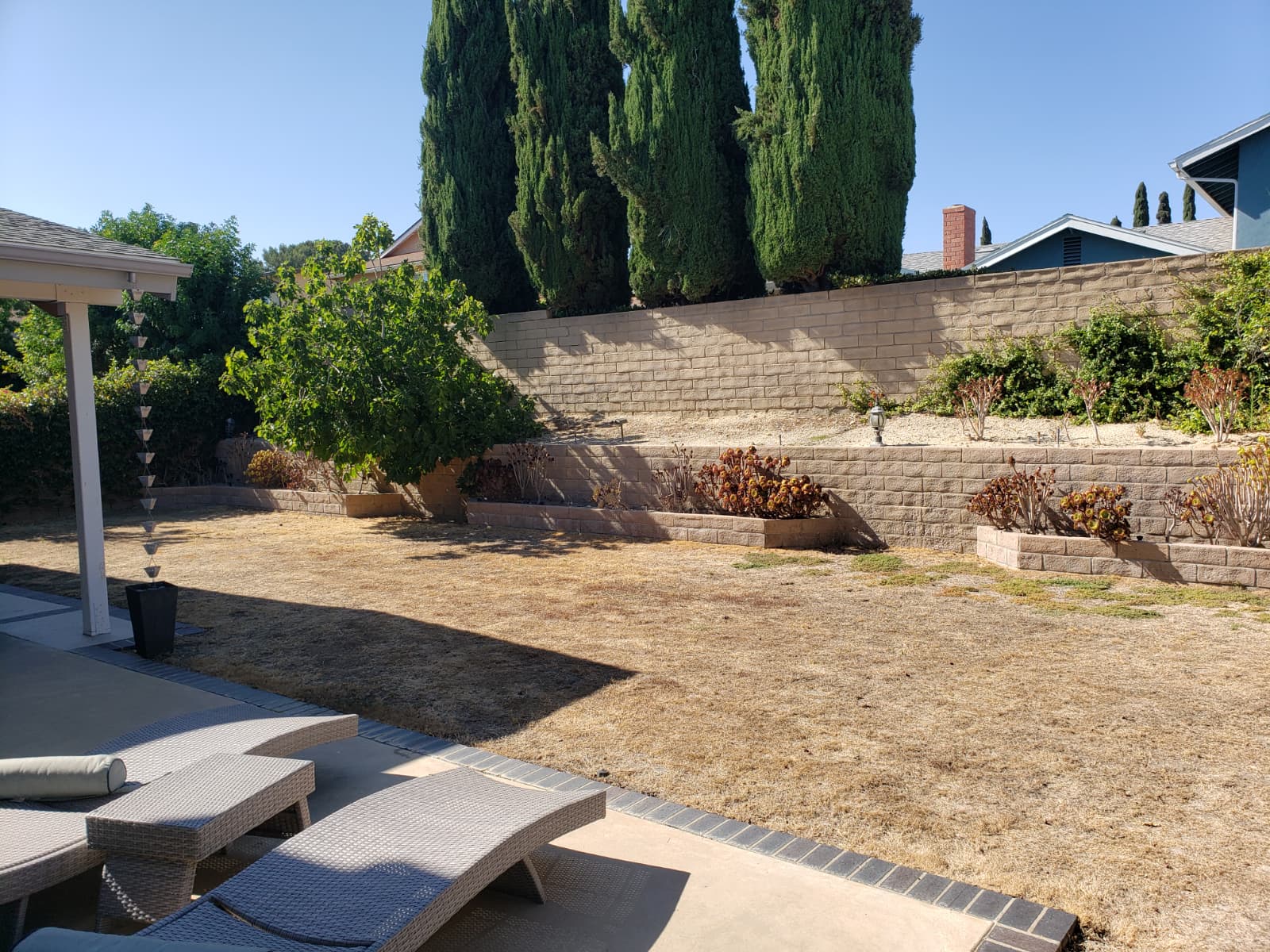 Para Artificial Grass